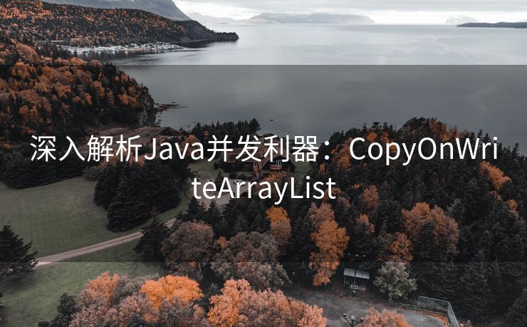深入解析Java并发利器：CopyOnWriteArrayList