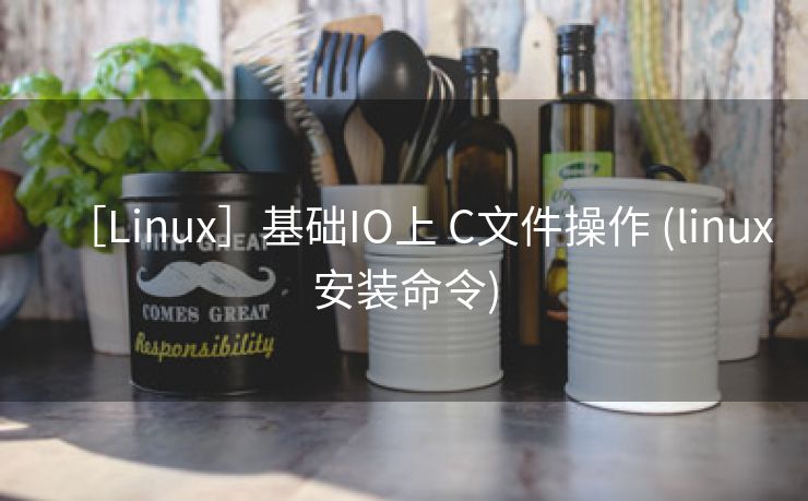 ［Linux］基础IO上 C文件操作 (linux安装命令)