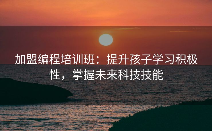加盟编程培训班：提升孩子学习积极性，掌握未来科技技能