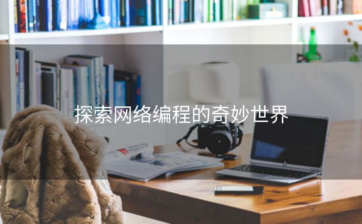 探索网络编程的奇妙世界 探索网络编程的奇妙世界