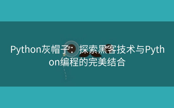 Python灰帽子：探索黑客技术与Python编程的完美结合