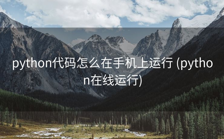 python代码怎么在手机上运行 (python在线运行)