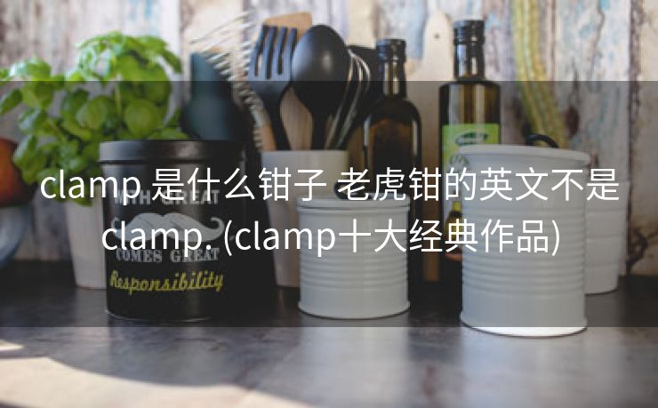 clamp 是什么钳子 老虎钳的英文不是clamp. (clamp十大经典作品)