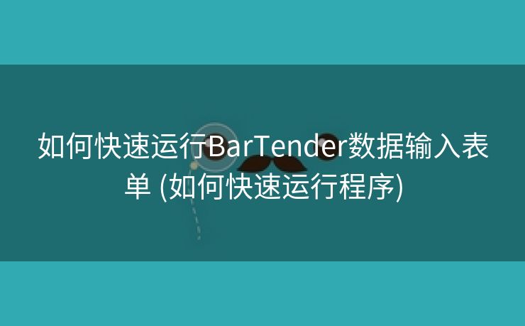 如何快速运行BarTender数据输入表单 (如何快速运行程序)