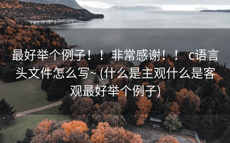 最好举个例子！！非常感谢！！ c语言头文件怎么写~ (什么是主观什么是客观最好举个例子)