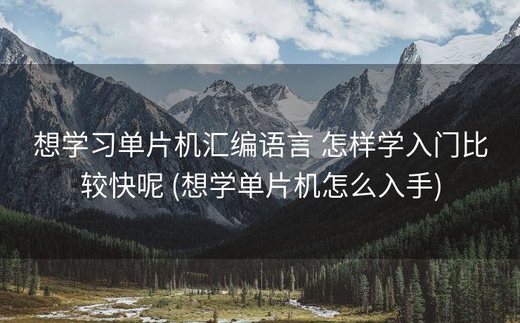 想学习单片机汇编语言 怎样学入门比较快呢 (想学单片机怎么入手)