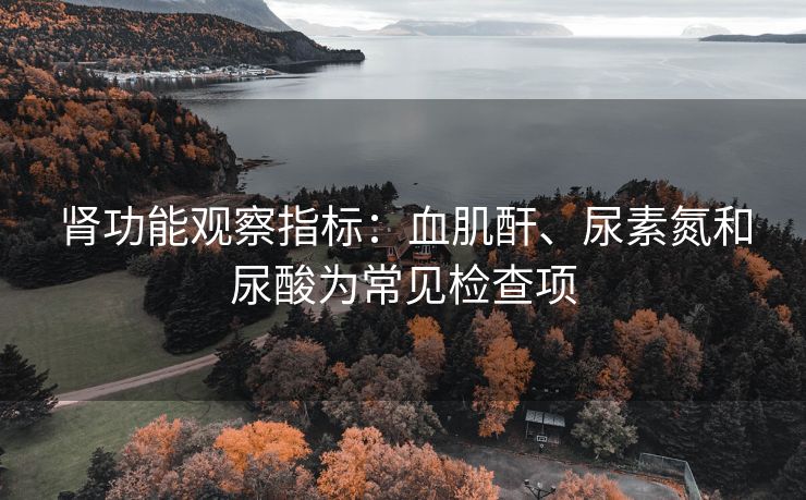 肾功能观察指标：血肌酐、尿素氮和尿酸为常见检查项