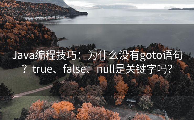 Java编程技巧：为什么没有goto语句？true、false、null是关键字吗？