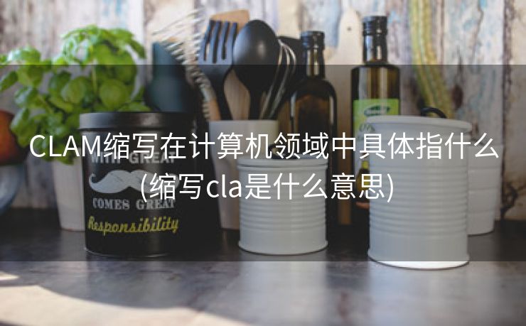 CLAM缩写在计算机领域中具体指什么 (缩写cla是什么意思)