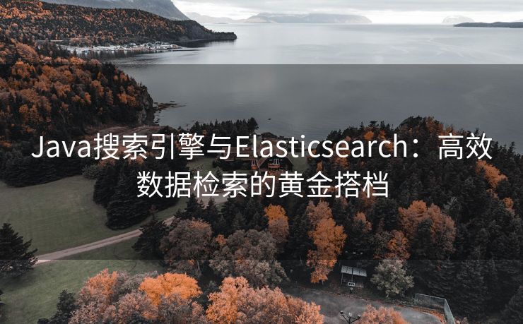Java搜索引擎与Elasticsearch：高效数据检索的黄金搭档