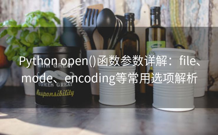 Python open()函数参数详解：file、mode、encoding等常用选项解析