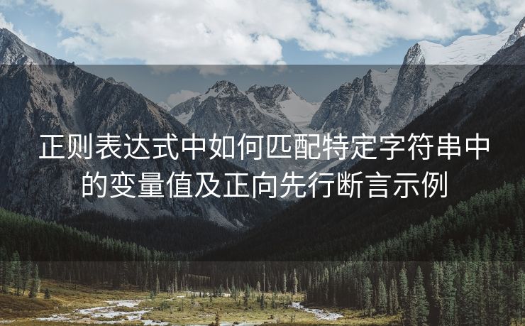 正则表达式中如何匹配特定字符串中的变量值及正向先行断言示例 正则表达式中如何匹配特定字符串中的变量值及正向先行断言示例
