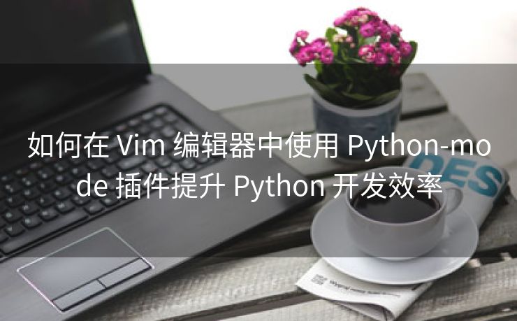 如何在 Vim 编辑器中使用 Python-mode 插件提升 Python 开发效率