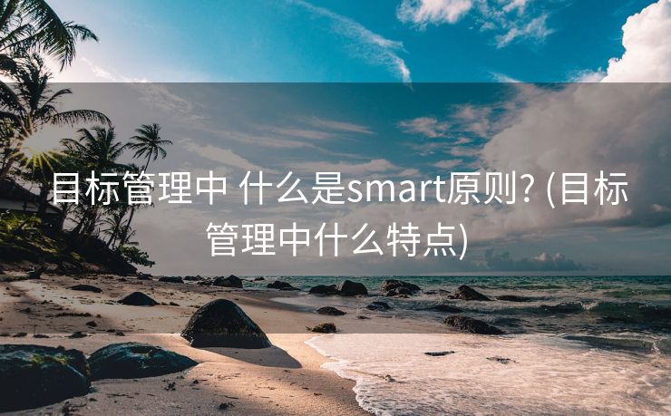 目标管理中 什么是smart原则? (目标管理中什么特点)