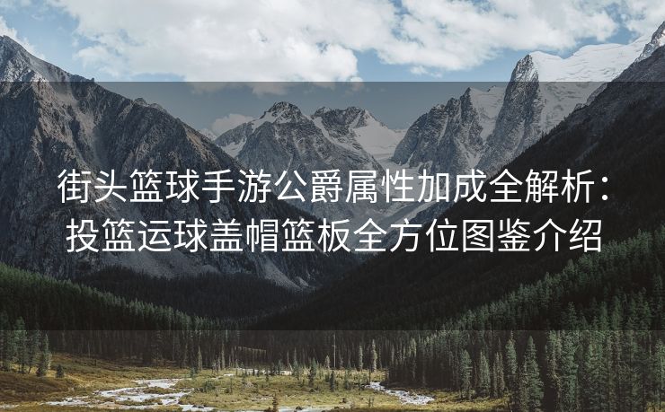 街头篮球手游公爵属性加成全解析:投篮运球盖帽篮板全方位图鉴介绍 街头篮球手游公爵属性加成全解析:投篮运球盖帽篮板全方位图鉴介绍