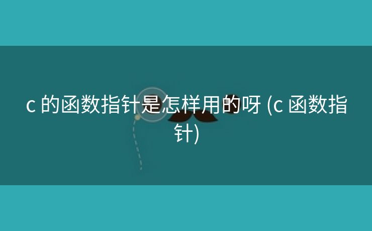 c 的函数指针是怎样用的呀 (c 函数指针)
