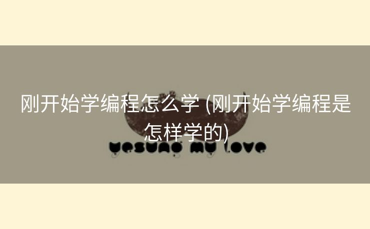 刚开始学编程怎么学 (刚开始学编程是怎样学的)