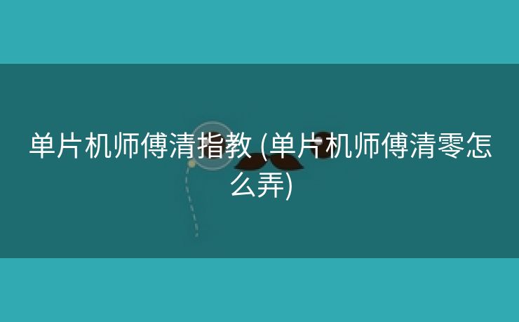 单片机师傅清指教 (单片机师傅清零怎么弄)