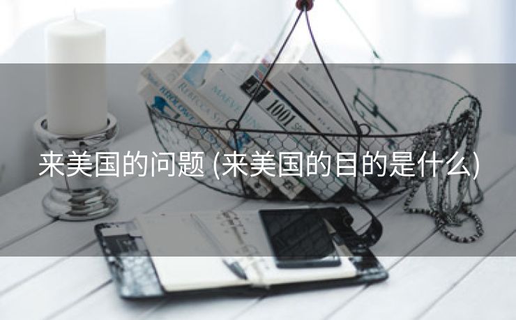 来美国的问题 (来美国的目的是什么)