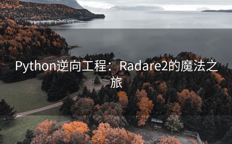 Python逆向工程：Radare2的魔法之旅