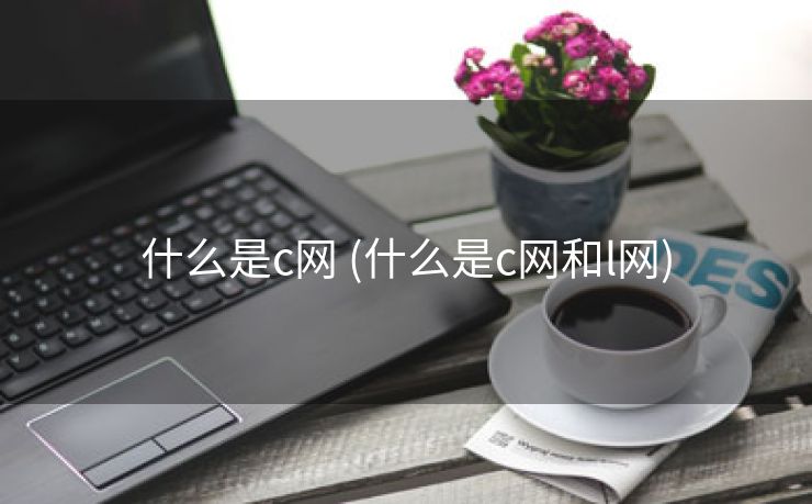 什么是c网 (什么是c网和l网)