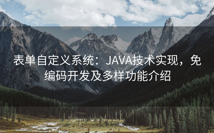 表单自定义系统：JAVA技术实现，免编码开发及多样功能介绍