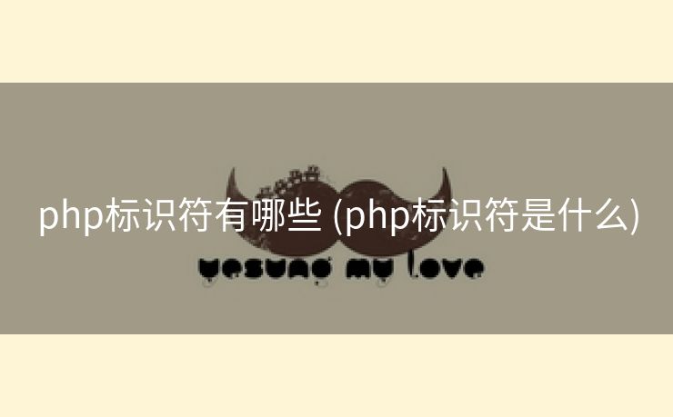 php标识符有哪些 (php标识符是什么)