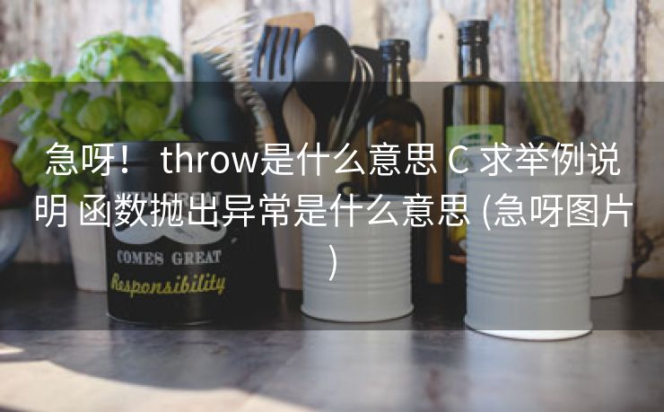急呀! throw是什么意思 C 求举例说明 函数抛出异常是什么意思 (急呀图片) 急呀! throw是什么意思 C 求举例说明 函数抛出异常是什么意思 (急呀图片)