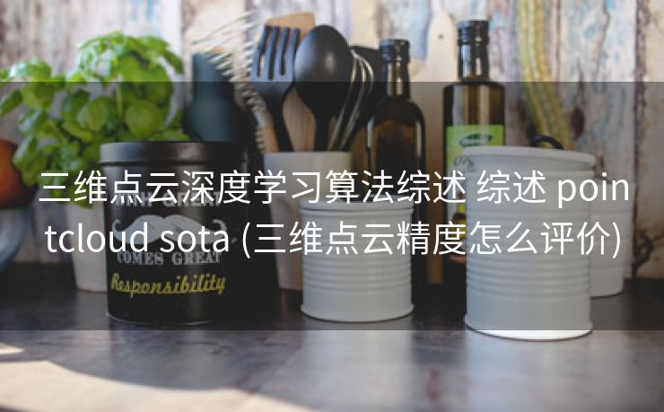 三维点云深度学习算法综述 综述 pointcloud sota (三维点云精度怎么评价)