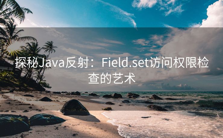 探秘Java反射：Field.set访问权限检查的艺术