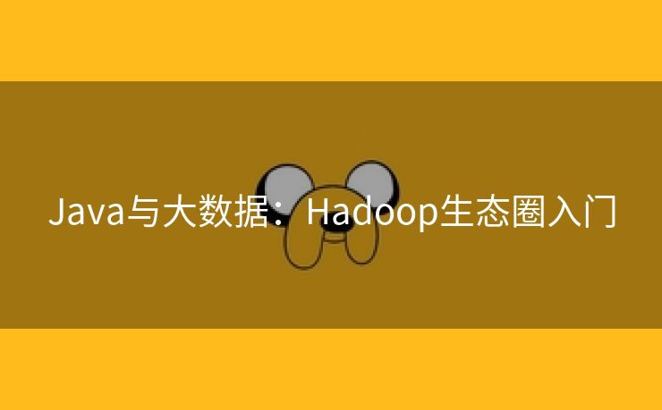 Java与大数据：Hadoop生态圈入门