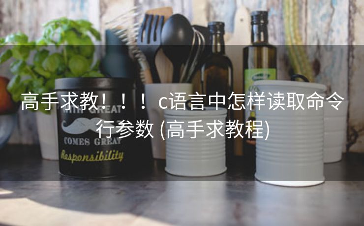 高手求教！！！c语言中怎样读取命令行参数 (高手求教程)