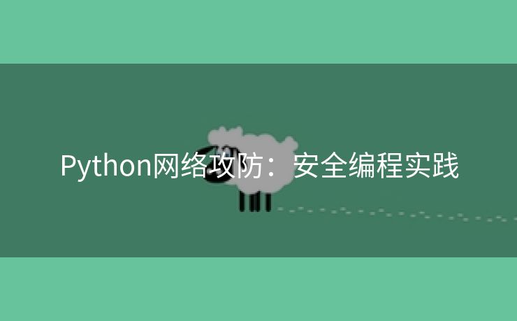 Python网络攻防：安全编程实践