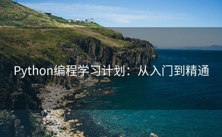Python编程学习计划：从入门到精通