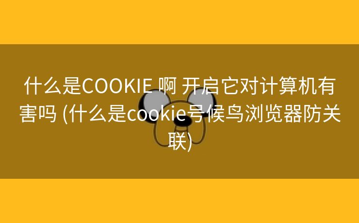 什么是COOKIE 啊 开启它对计算机有害吗 (什么是cookie号候鸟浏览器防关联)