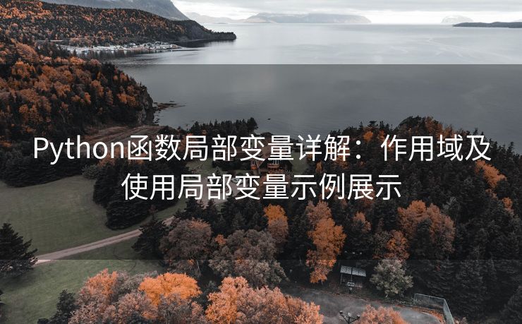 Python函数局部变量详解：作用域及使用局部变量示例展示