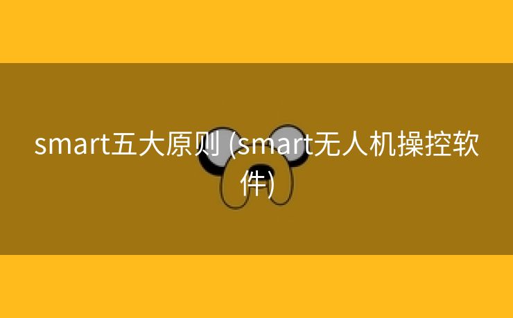smart五大原则 (smart无人机操控软件) smart五大原则 (smart无人机操控软件)
