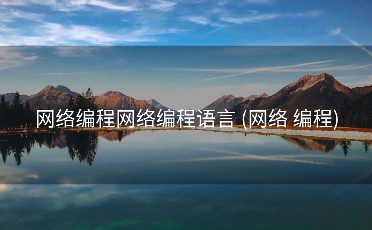 网络编程网络编程语言 (网络 编程)