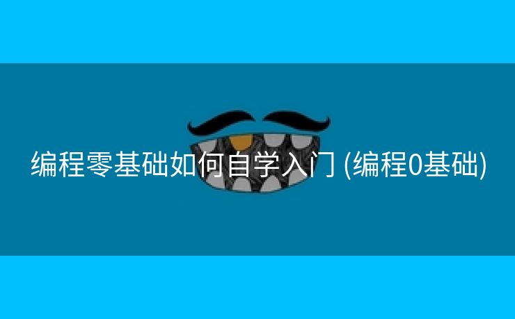 编程零基础如何自学入门 (编程0基础)