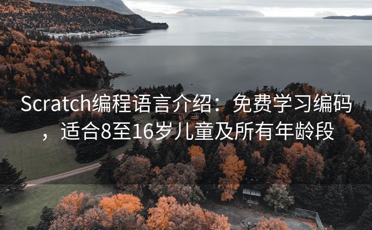Scratch编程语言介绍：免费学习编码，适合8至16岁儿童及所有年龄段