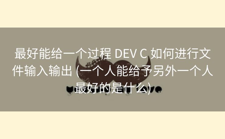 最好能给一个过程 DEV C 如何进行文件输入输出 (一个人能给予另外一个人最好的是什么)