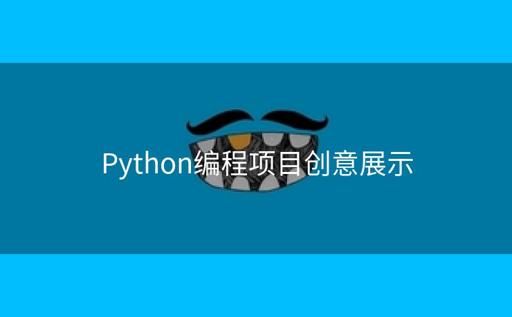 Python编程项目创意展示
