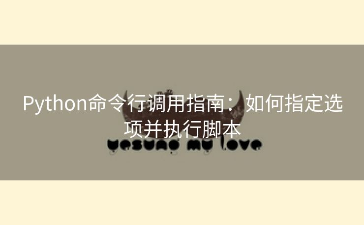 Python命令行调用指南：如何指定选项并执行脚本