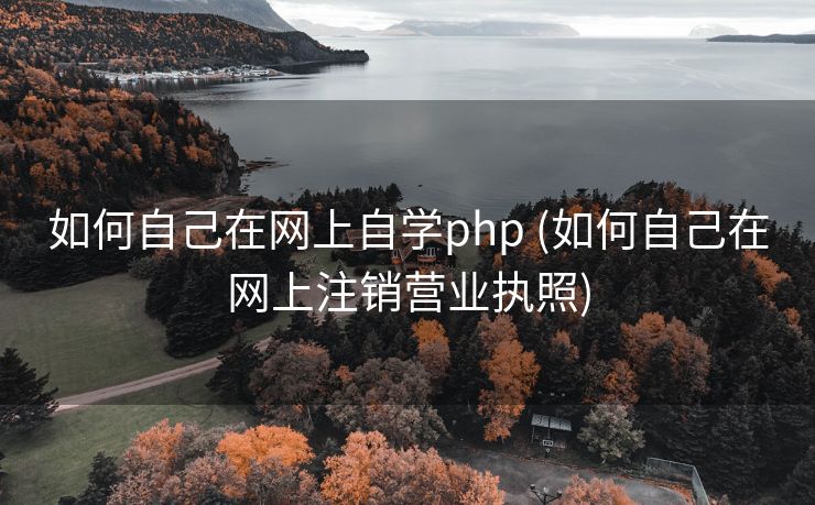 如何自己在网上自学php (如何自己在网上注销营业执照) 如何自己在网上自学php (如何自己在网上注销营业执照)
