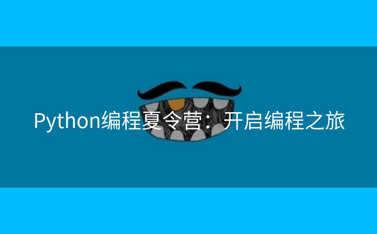 Python编程夏令营：开启编程之旅
