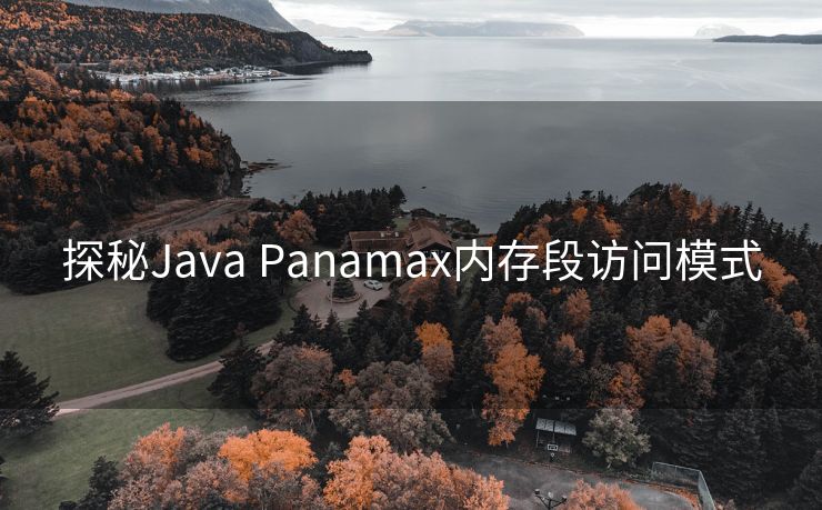 探秘Java Panamax内存段访问模式