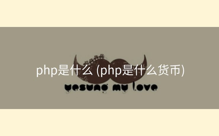 php是什么 (php是什么货币)