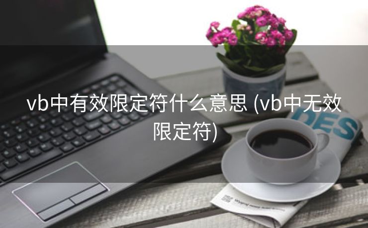 vb中有效限定符什么意思 (vb中无效限定符)
