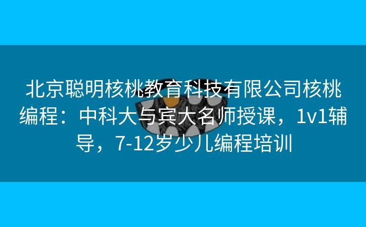 北京聪明核桃教育科技有限公司核桃编程：中科大与宾大名师授课，1v1辅导，7-12岁少儿编程培训