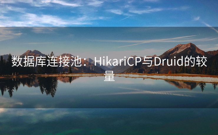 数据库连接池：HikariCP与Druid的较量